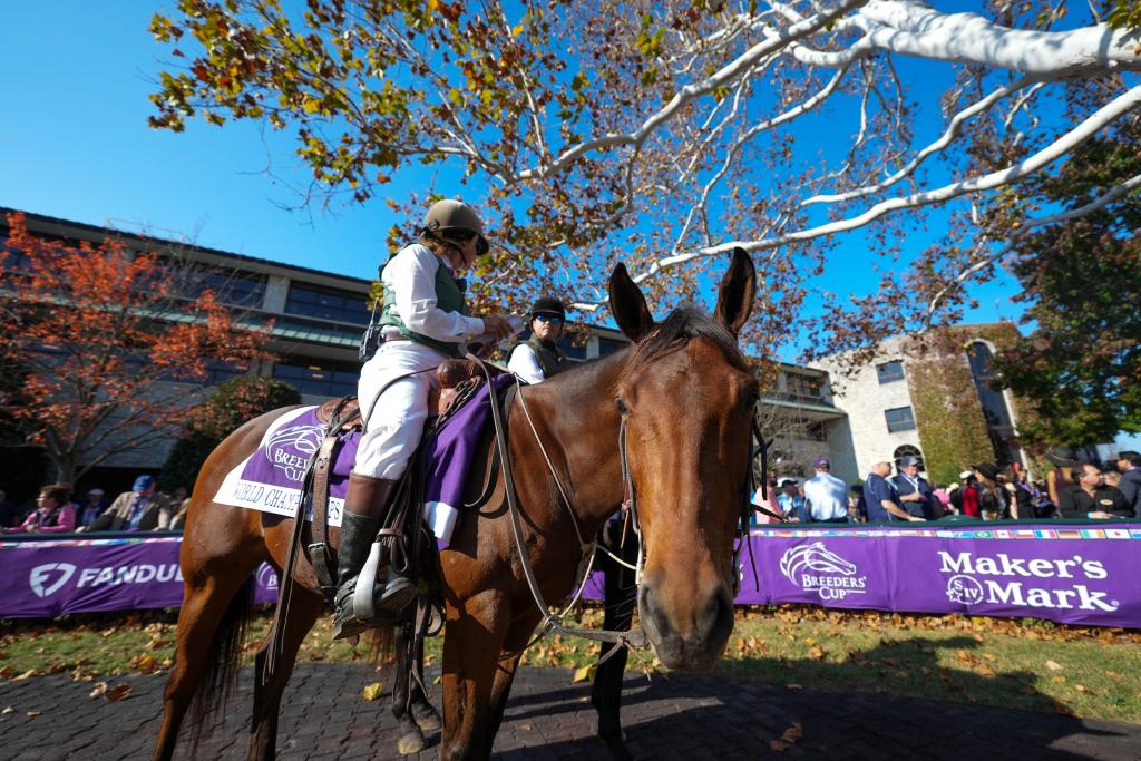 Explore Future Stars Friday at the 2022 Breeders’ Cup World Championships. (Eclipse Sportswire)